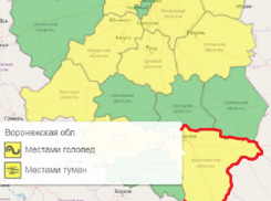Желтый уровень погодной опасности снова ввели в Воронежской области