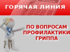 В Воронежской области начала работу горячая линия по вопросам профилактики гриппа и ОРВИ
