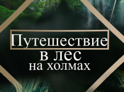 Юные звезды «Блокнота» узнали тайны леса на холмах