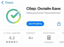 Фейковые приложения банков воруют личные данные жителей Воронежской области при скачивании 