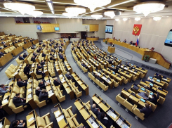 В Госдуме депутаты подсчитали свои законопроекты за прошлый год