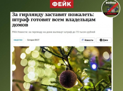 В Воронежской области разоблачили фейк о штрафах за новогодние гирлянды