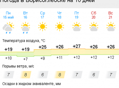  Летняя жара придет в Борисоглебск во второй половине текущей недели