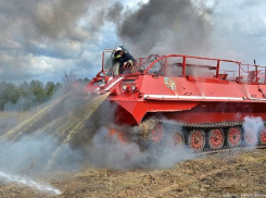 Воронежская область получила 9,5 млн. рублей на покупку лесопожарной техники