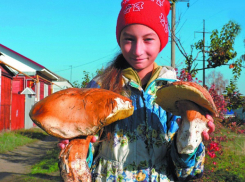 Борисоглебец нашел возле дома 2-х килограммовый гриб боровик