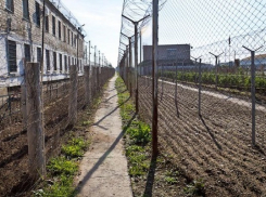 Мобильники в воронежские колонии забрасывают катапультами, а наркотики «подают» с салатом «Оливье» 