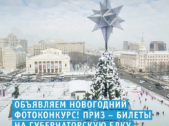 Борисоглебцы могут выиграть билеты на губернаторскую ёлку