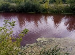 Пруд в Терновке стал кроваво-красным
