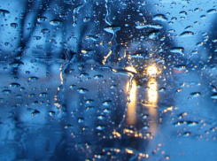 Борисоглебцев ожидает затяжная оттепель с дождями. Зима придет не скоро 