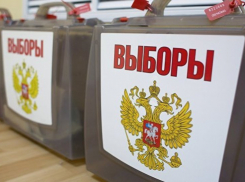 В Грибановском районе доизбрали 8 депутатов 