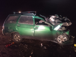 Водитель отечественной легковушки погиб в ДТП под Борисоглебском