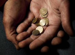 В Воронежской области за чертой крайней бедности находится 1,1% жителей