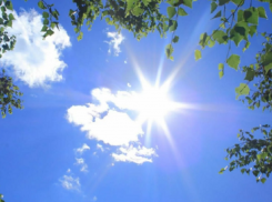 38-градусная жара не думает покидать Воронежскую область