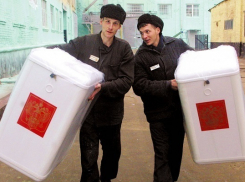 Борисоглебские заключённые смогут проголосовать на президентских выборах