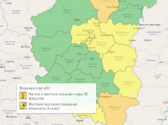 И снова «оранжевый». В Воронежской области сохраняется высокий уровень погодной опасности