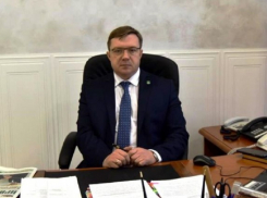 Главный «инсайдер» Воронежской области назвал имя нового главы администрации Борисоглебского округа
