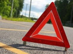 11 детей погибли в ДТП в Воронежской области за 8 месяцев