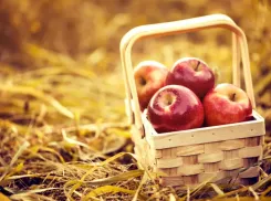 Яблочный Спас: традиции одного из самых светлых праздников