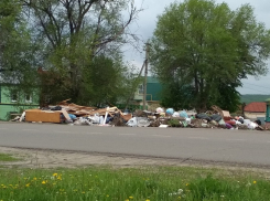 «За что платим, господа?» Регоператор отказывается убирать мусор в Борисоглебске