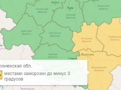 Из-за ночных заморозков в Воронежской области объявили теперь уже оранжевый уровень опасности