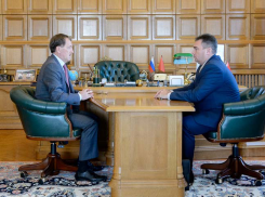 Губернатор Алексей Гордеев встретился с главой администрации Борисоглебского городского округа Андреем Пищугиным
