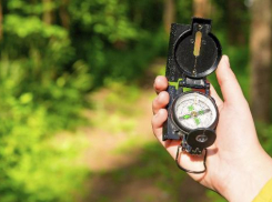 Борисоглебцам на заметку: что делать если ты потерялся в лесу?