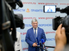 Жестче контролировать соблюдение локдауна в Воронежской области поручил губернатор