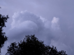 Дожди и грозы ожидают борисоглебцев в начале рабочей недели