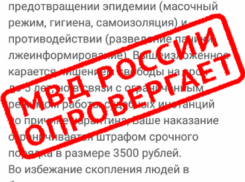 Жителей Воронежской области запугивают  тюрьмой за нарушение режима самоизоляции