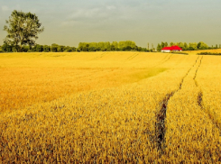 Названия 22 населённых пунктов из Воронежской области вошли в число самых смешных в стране
