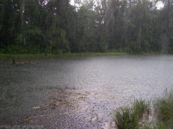 МЧС объявило штормовое предупреждение из-за обильных дождей в Воронежской области