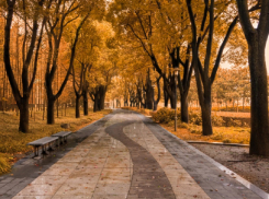 Воронежской области выделят 628 млн рублей на развитие городской среды