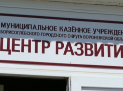 Бывший директор «Центра развития» г. Борисоглебска подала в суд на администрацию БГО