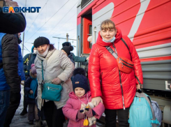 Еще 7 тысяч беженцев из Донбасса и Украины примет Воронежская область 