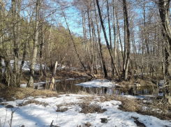 О самом теплом и самом холодном марте за всю историю метеонаблюдения рассказали в Хопёрском заповеднике