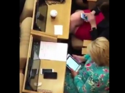 Россиян взбесило поведение депутатов: сидят в гаджетах, а в зале такое...