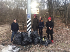 Борисоглебские активисты провели последнюю в этом году уборку берега реки Ворона