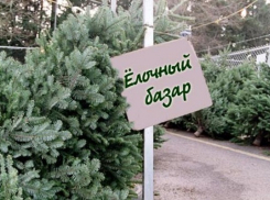 Где и когда в Борисоглебске можно будет купить новогоднюю елку