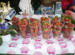 Борисоглебск по зарплатам - не Санкт-Петербург, но клубника дороже