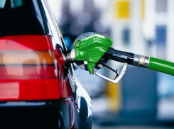 В Воронежской области цены на бензин за год выросли на 11%
