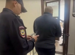 К 17 годам лишения свободы приговорили диверсанта за поджог электроподстанций в Борисоглебском округе и Поворинском районе
