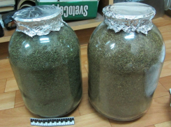 В Поворинском районе полицейские изъяли у местного жителя более 2 кг марихуаны