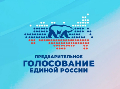 «Единая Россия» определилась с кандидатами в Борисоглебскую городскую Думу