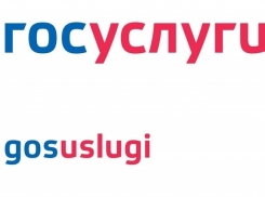 Борисоглебцы могут получить водительское удостоверение через Госуслуги 