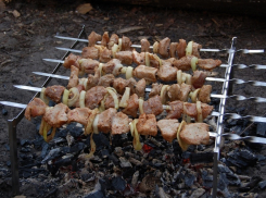 С 1 апреля борисоглебцам запрещено жарить шашлыки в лесу