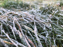 Резкие заморозки пообещали жителям Воронежской области синоптики