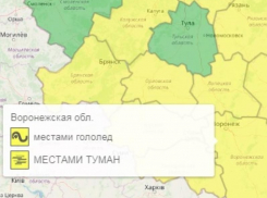 Об опасном гололеде предупредили жителей Воронежской области