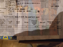 На регоператора пожаловался губернатору житель села Богана Борисоглебского округа