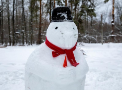 Снеговиков с зубами и хвостами предложили вылепить жителям Воронежской области