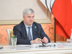 К весеннему паводку и летним пожарам готовятся в Воронежской области